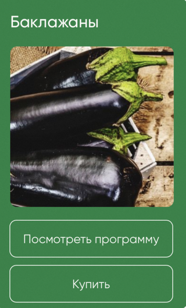 [Школа нетипичного фермера] Анна Акинина — Баклажа_0.png